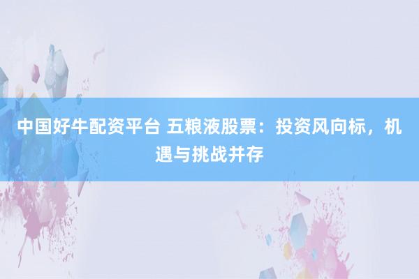 中国好牛配资平台 五粮液股票：投资风向标，机遇与挑战并存