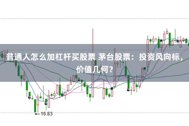 普通人怎么加杠杆买股票 茅台股票：投资风向标，价值几何？