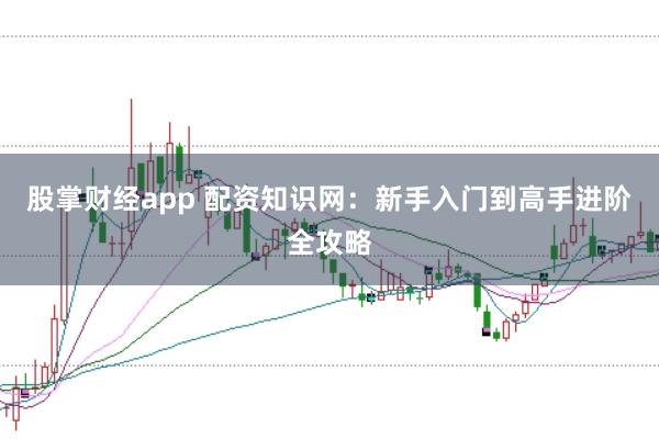 股掌财经app 配资知识网：新手入门到高手进阶全攻略