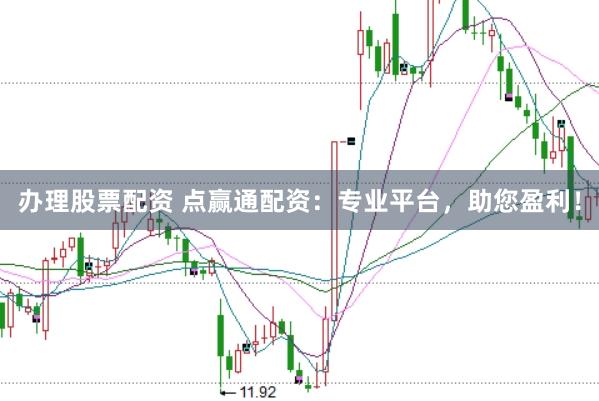 办理股票配资 点赢通配资：专业平台，助您盈利！