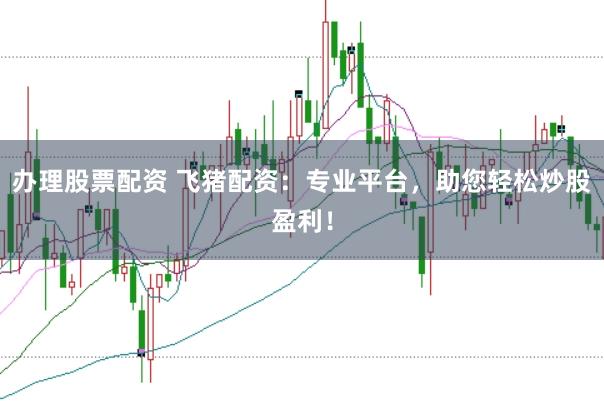 办理股票配资 飞猪配资：专业平台，助您轻松炒股盈利！