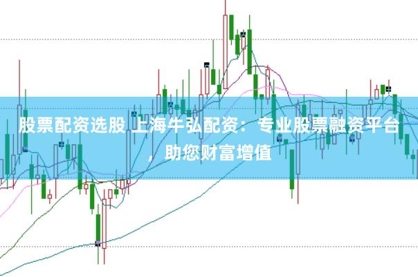 股票配资选股 上海牛弘配资：专业股票融资平台，助您财富增值