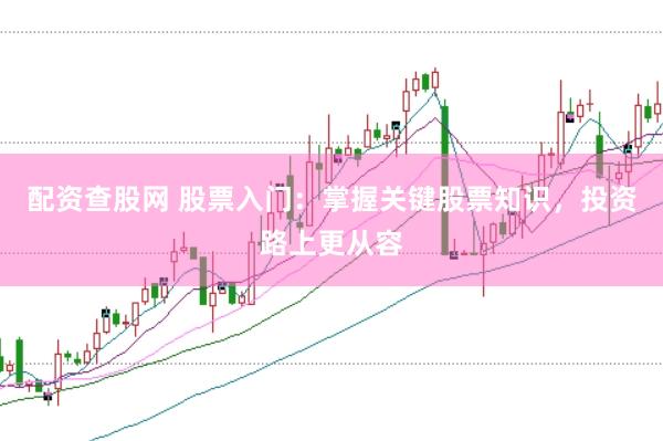配资查股网 股票入门：掌握关键股票知识，投资路上更从容