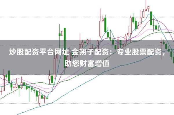 炒股配资平台网址 金朔子配资：专业股票配资，助您财富增值
