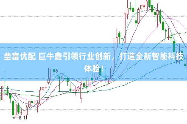 垒富优配 巨牛鑫引领行业创新，打造全新智能科技体验！