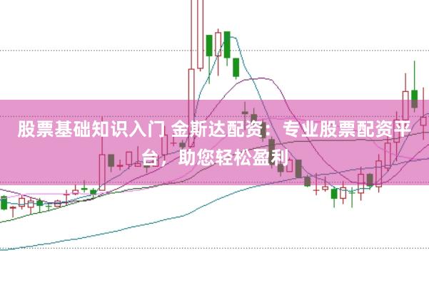 股票基础知识入门 金斯达配资：专业股票配资平台，助您轻松盈利