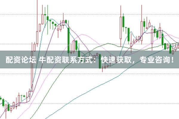 配资论坛 牛配资联系方式：快速获取，专业咨询！