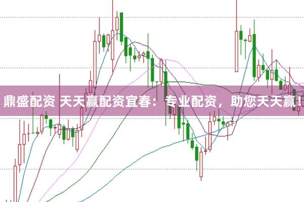 鼎盛配资 天天赢配资宜春：专业配资，助您天天赢！