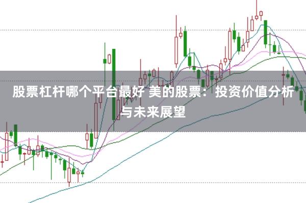 股票杠杆哪个平台最好 美的股票：投资价值分析与未来展望