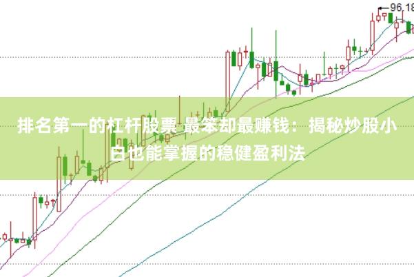 排名第一的杠杆股票 最笨却最赚钱：揭秘炒股小白也能掌握的稳健盈利法