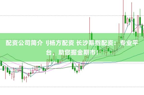 配资公司简介刂杨方配资 长沙期指配资：专业平台，助您掘金期市！