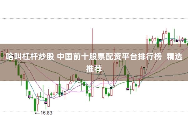 啥叫杠杆炒股 中国前十股票配资平台排行榜  精选推荐