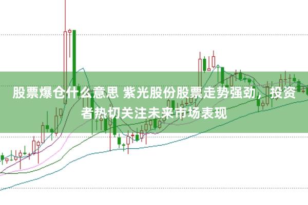 股票爆仓什么意思 紫光股份股票走势强劲，投资者热切关注未来市场表现