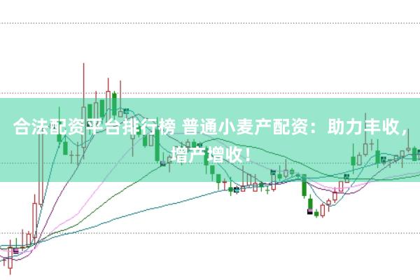 合法配资平台排行榜 普通小麦产配资：助力丰收，增产增收！