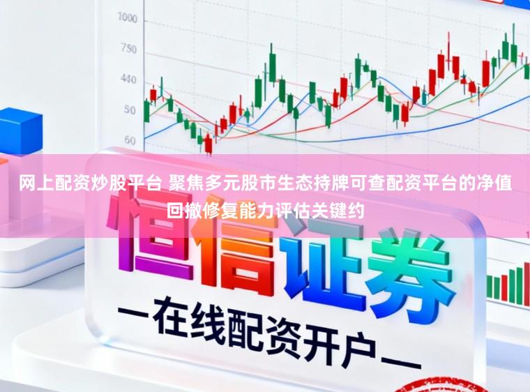 网上配资炒股平台 聚焦多元股市生态持牌可查配资平台的净值回撤修复能力评估关键约
