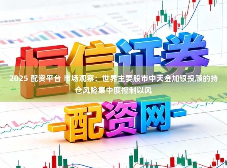 2025 配资平台 市场观察：世界主要股市中天金加银投顾的持仓风险集中度控制以风